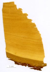 167_XT0107XX sezione trasversale