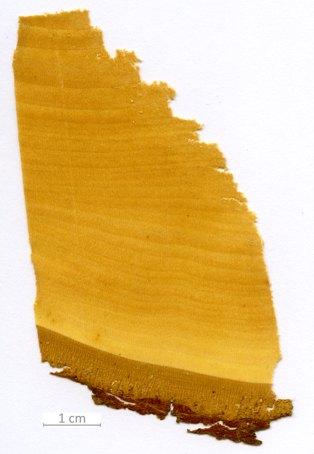 167_XT0107XX sezione trasversale