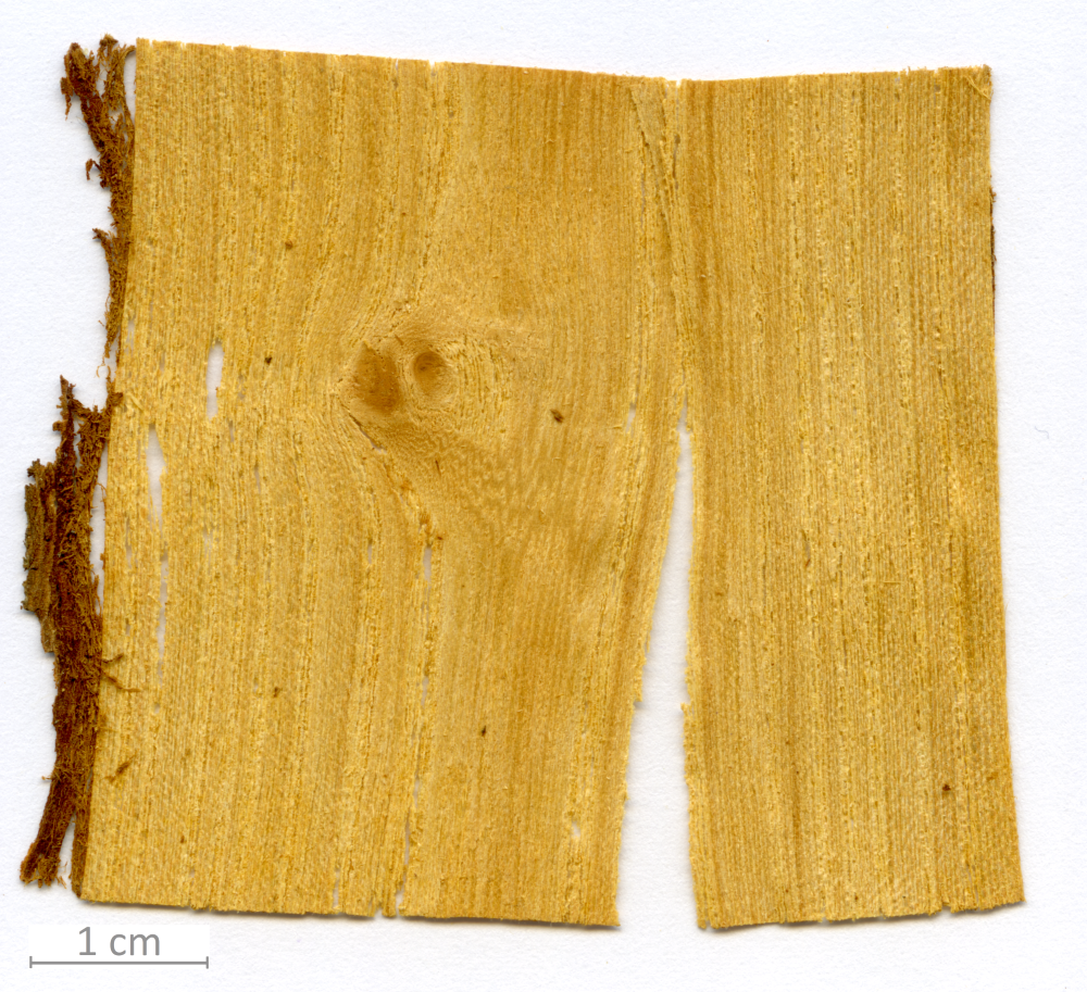 168_XT0114XX sezione longitudinale