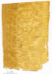 169_XT0087XX sezione longitudinale