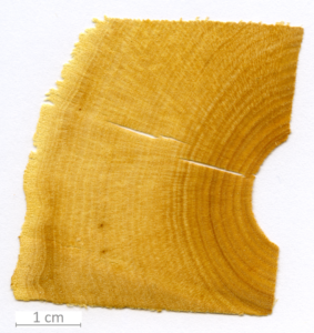 169_XT0087XX sezione trasversale