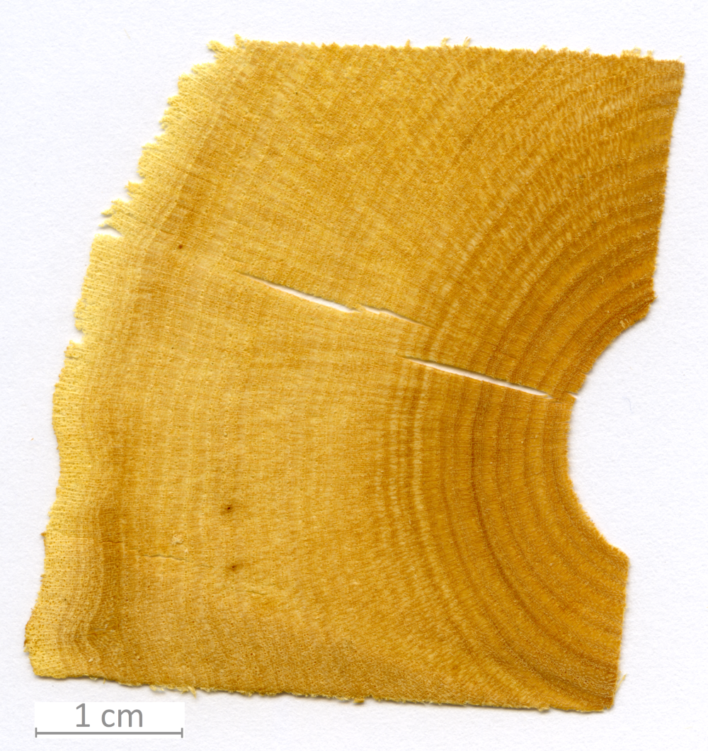 169_XT0087XX sezione trasversale