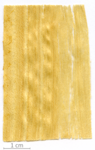 170_XT0026XX sezione longitudinale