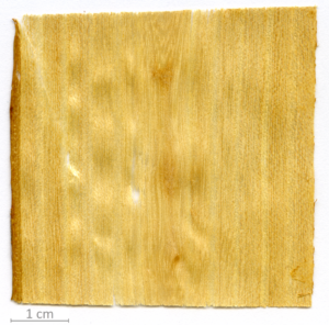 170_XT0026XX sezione longitudinale