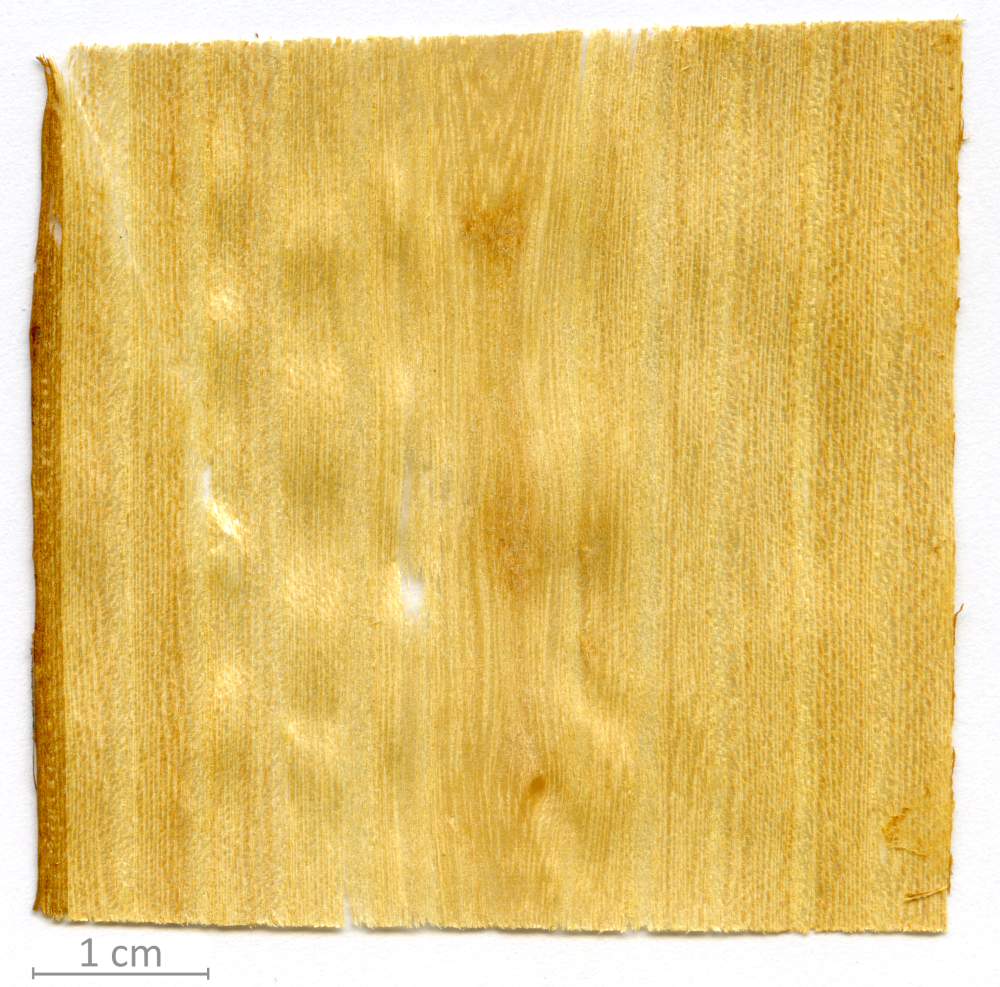 170_XT0026XX sezione longitudinale