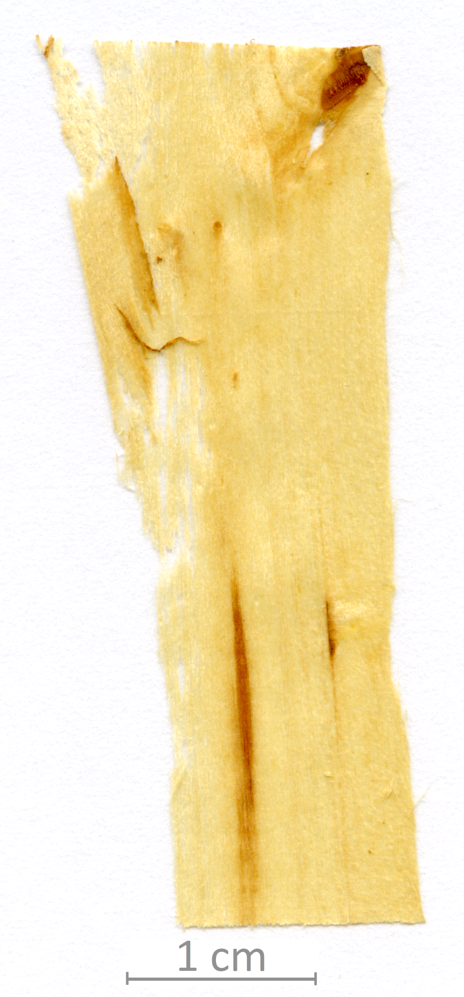 171_XT0019XX sezione longitudinale