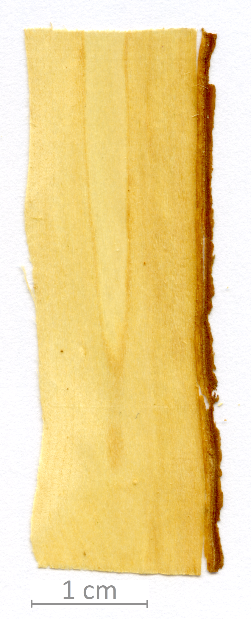 171_XT0019XX sezione longitudinale