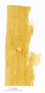 172_XT0020XX sezione longitudinale