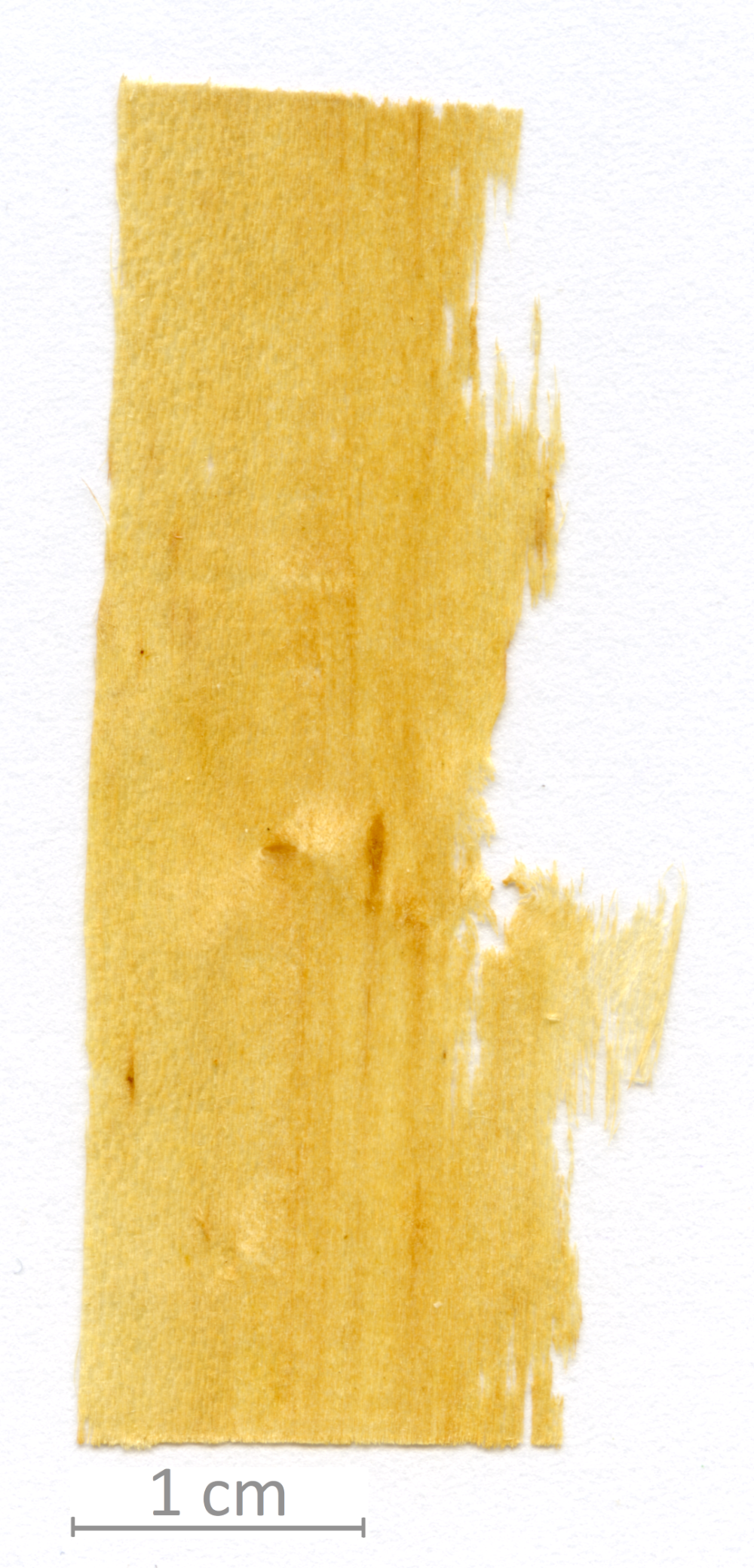 172_XT0020XX sezione longitudinale