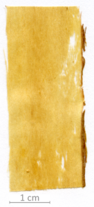 172_XT0020XX sezione longitudinale