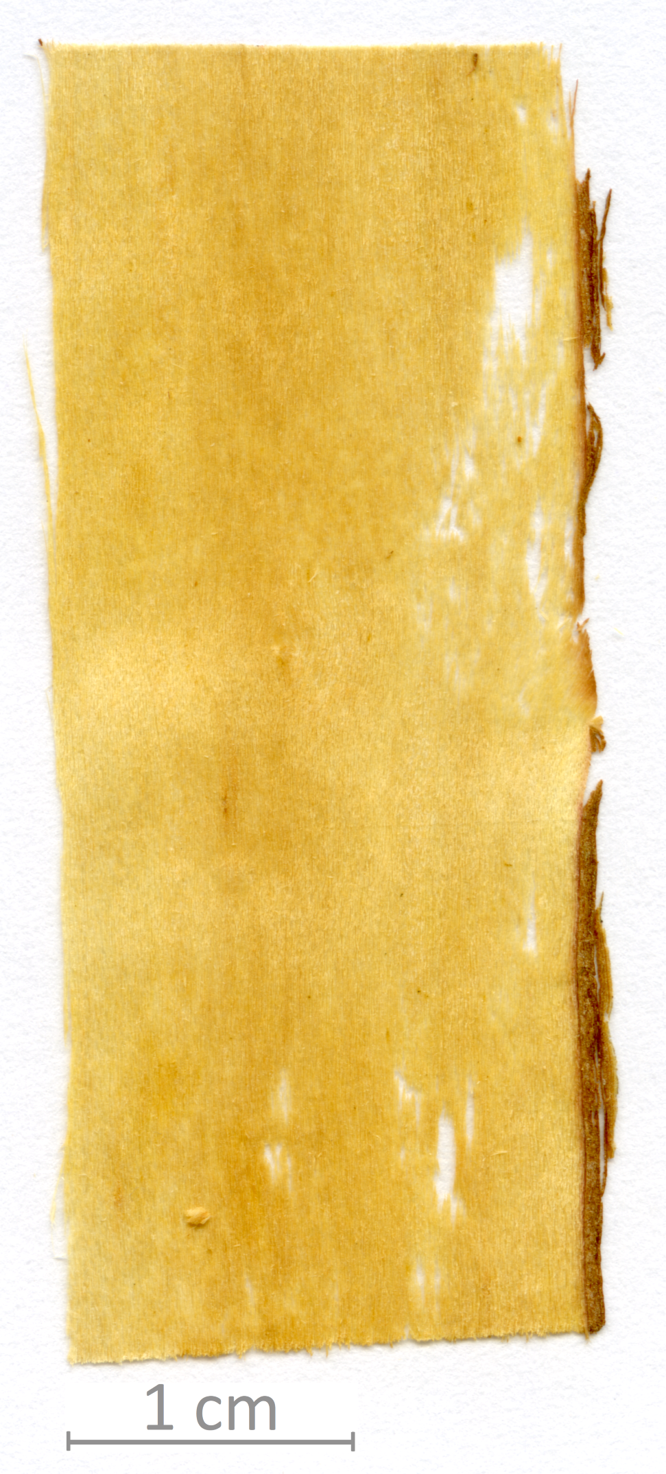 172_XT0020XX sezione longitudinale