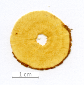 172_XT0020XX sezione trasversale