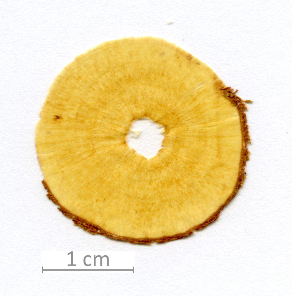 172_XT0020XX sezione trasversale