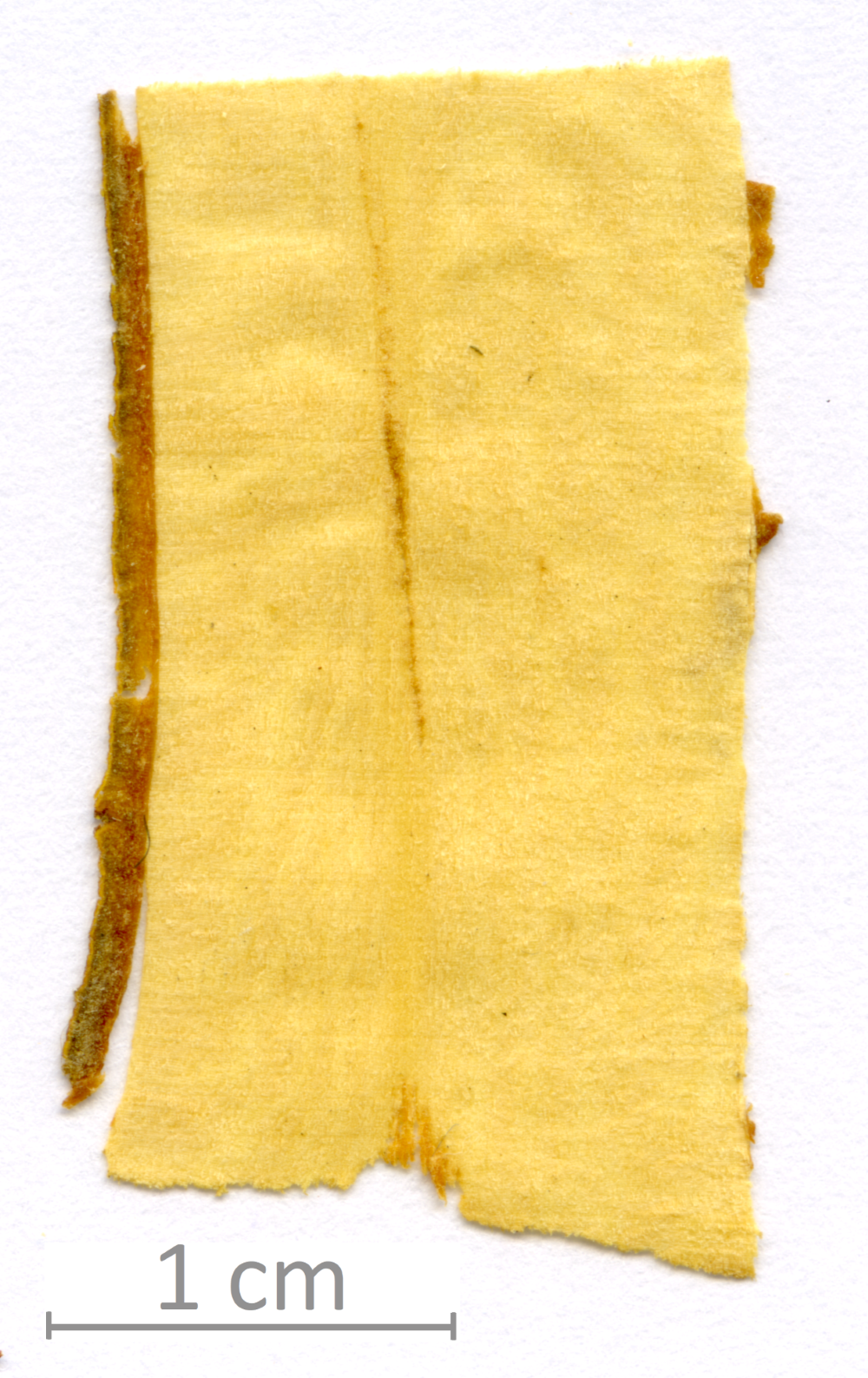 173_XT0034XX sezione longitudinale