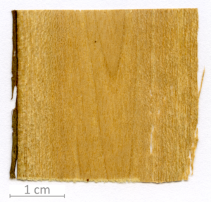 174_XT0018XX sezione longitudinale