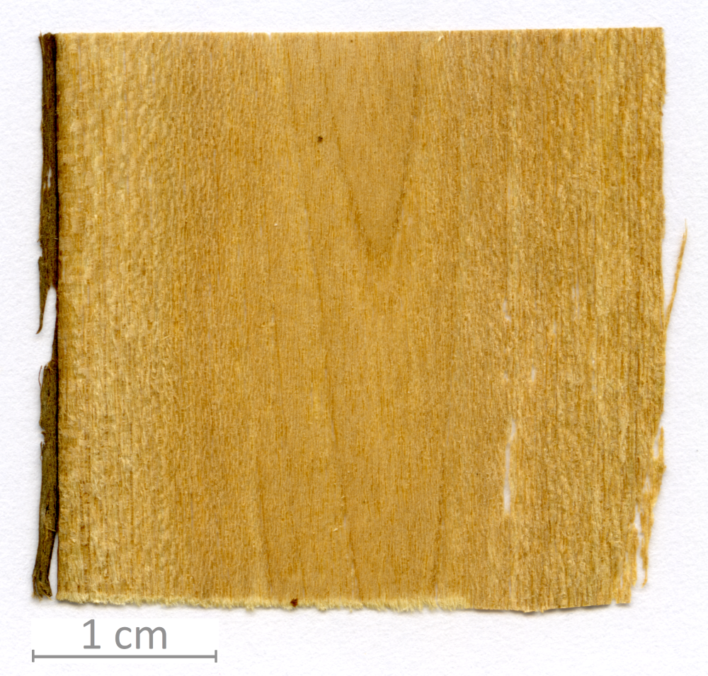 174_XT0018XX sezione longitudinale